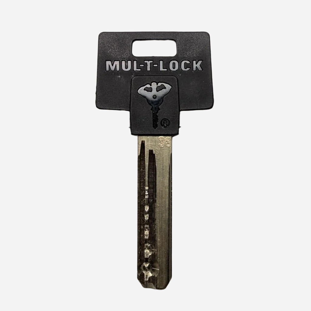 Mul-T-Lock Cut Key + Matching Key Pins